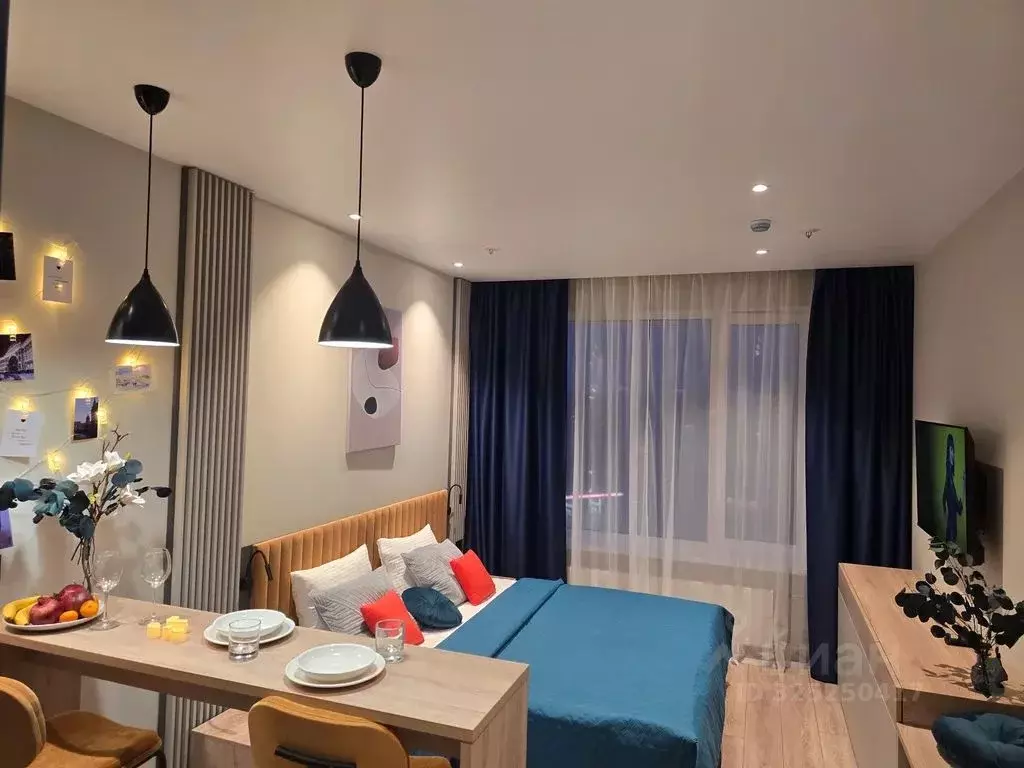 1-к кв. Санкт-Петербург просп. Энергетиков, 8к2 (29.0 м) - Фото 2