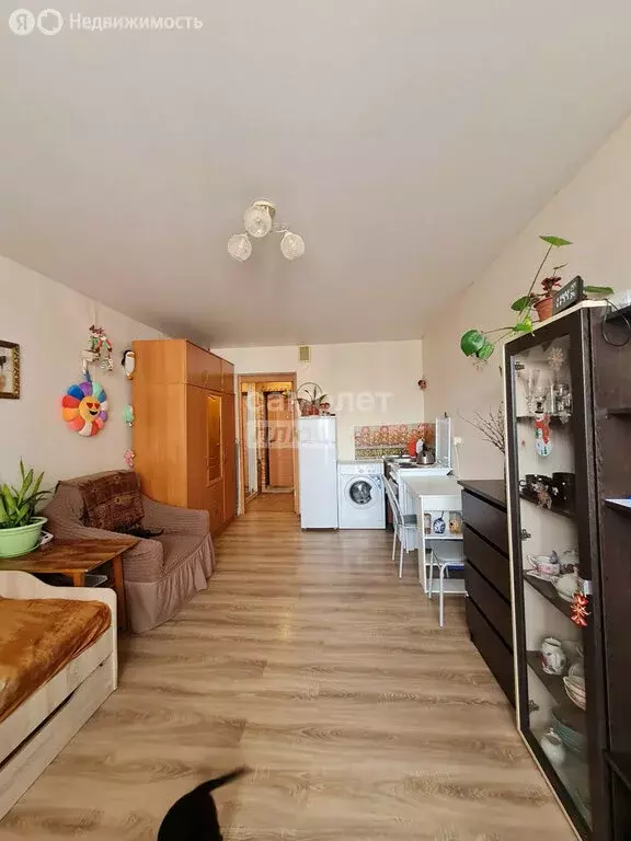 Квартира-студия: Никольское, Первомайская улица, 13/1 (24.1 м) - Фото 2