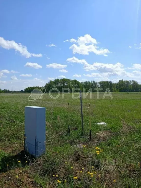 Участок в Тюменская область, Тюменский район, Новокаменский кп ул. ... - Фото 1