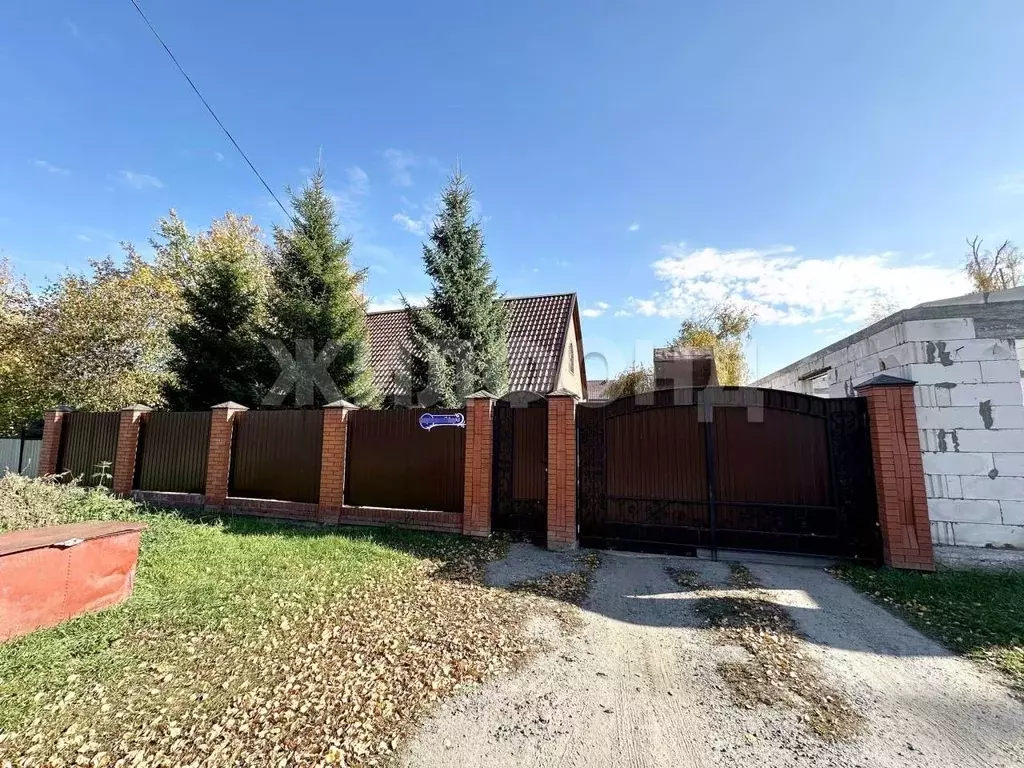 Дом в Новосибирская область, Новосибирский район, с. Боровое ул. Мира ... - Фото 2