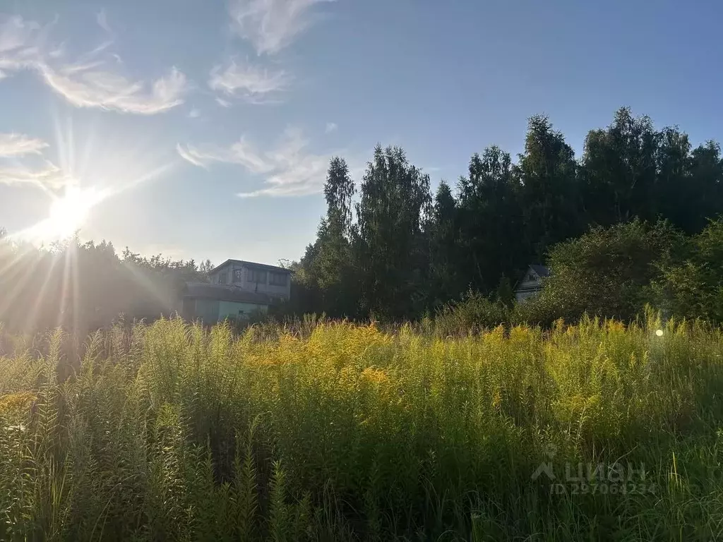 Участок в Нижегородская область, Кстовский муниципальный округ, с. ... - Фото 1