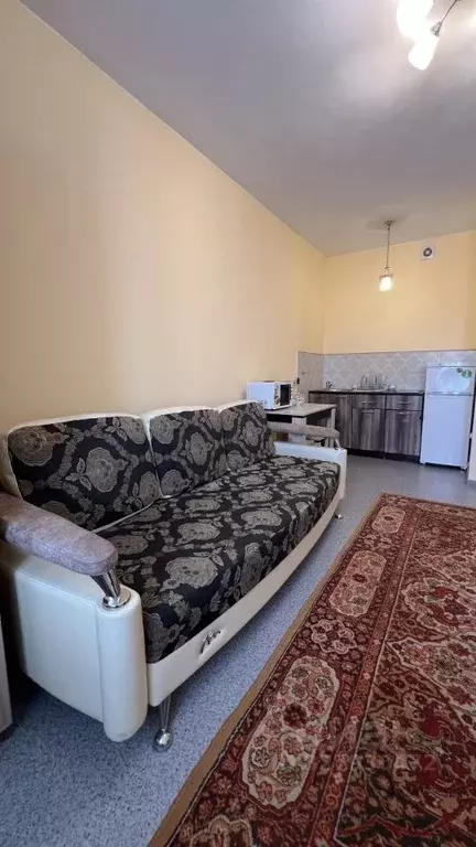 Студия Новосибирская область, Новосибирск ул. Залесского, 8/1 (28.8 м) - Фото 2