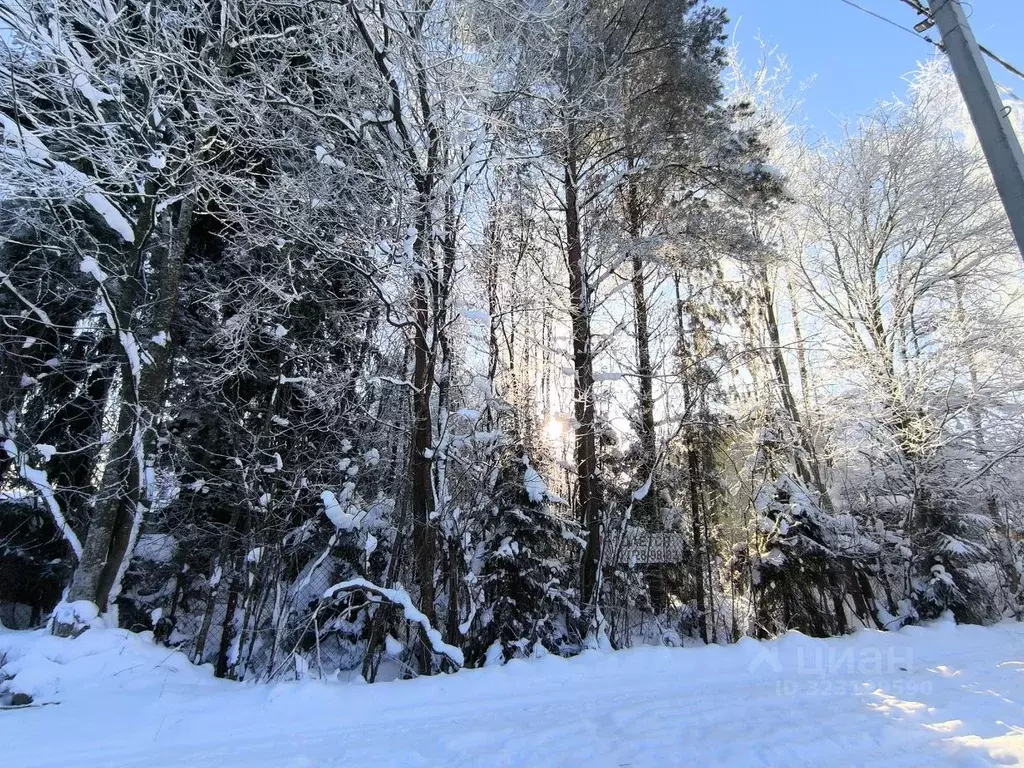 Участок в Ленинградская область, Кировский район, Мгинское городское ... - Фото 1