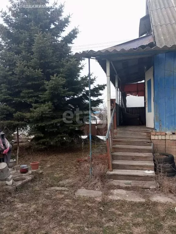 Дом в село Новая Усмань, СНТ Отрада, Дачная улица, 14 (60 м) - Фото 1