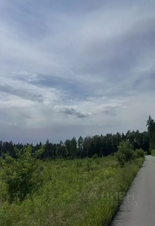 Участок в Московская область, Богородский городской округ, д. Калитино ... - Фото 2
