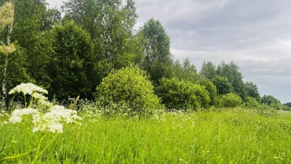 Участок в Московская область, Дмитровский муниципальный округ, Икша ... - Фото 1