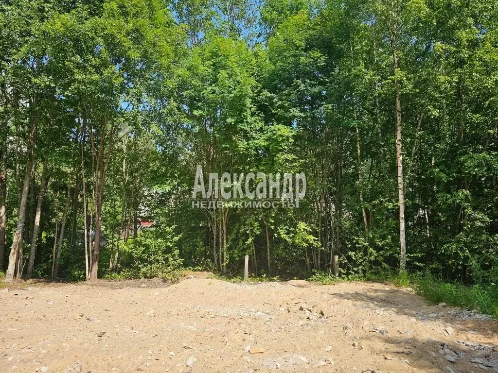 Участок в Карелия, Лахденпохья ул. Аркадия Маркова (10.0 сот.) - Фото 1