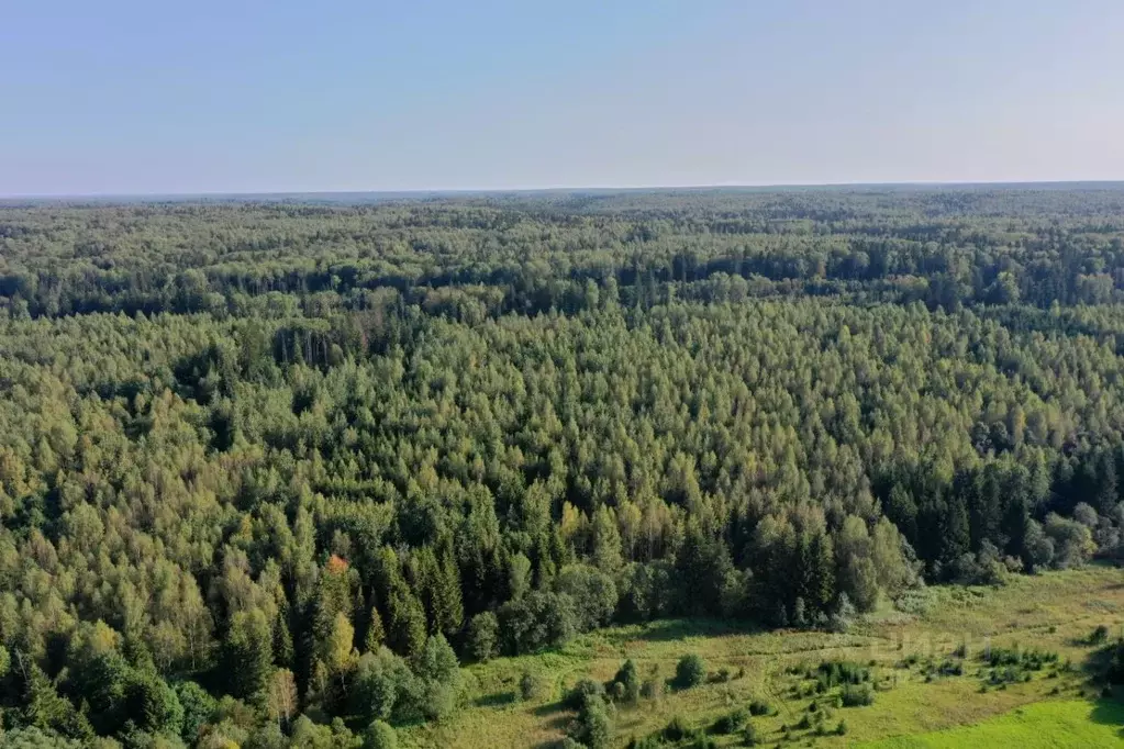 участок в московская область, сергиево-посадский городской округ, с. . - Фото 0