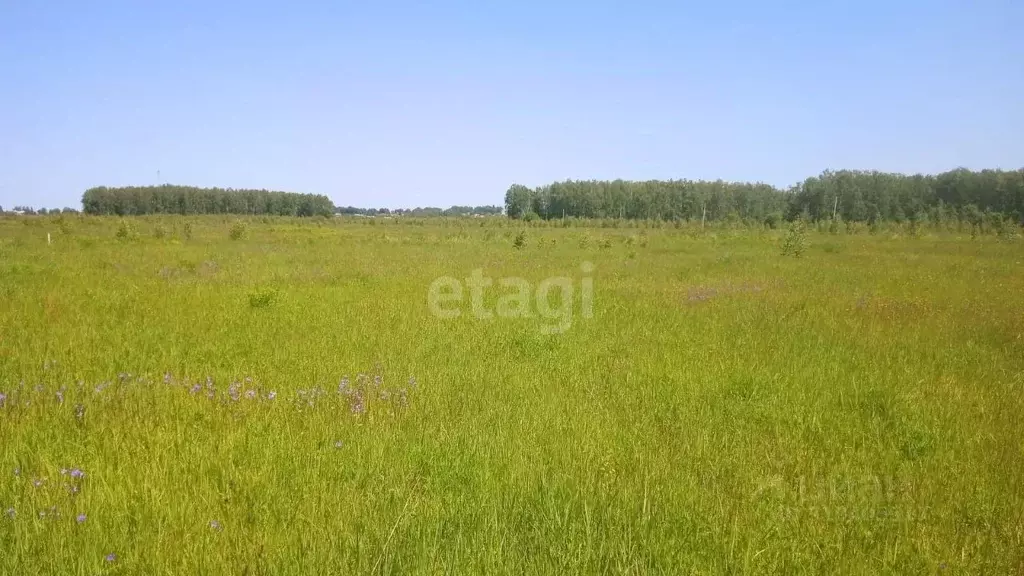 Участок в Владимирская область, Вязниковский район, Паустовское ... - Фото 0