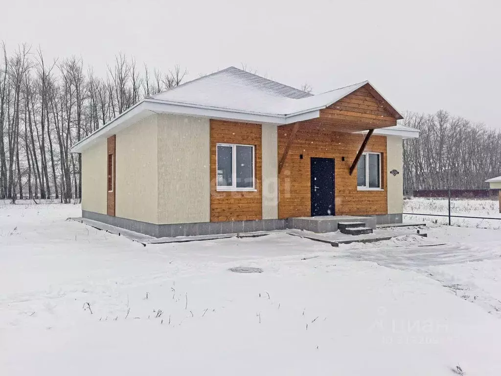 Дом в Омская область, Омский район, с. Усть-Заостровка ул. Весенняя, ... - Фото 0