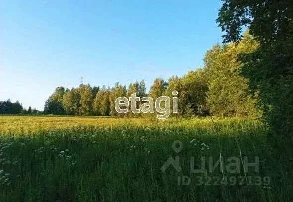 Участок в Вологодская область, д. Старое (Старосельский сельсовет)  ... - Фото 1