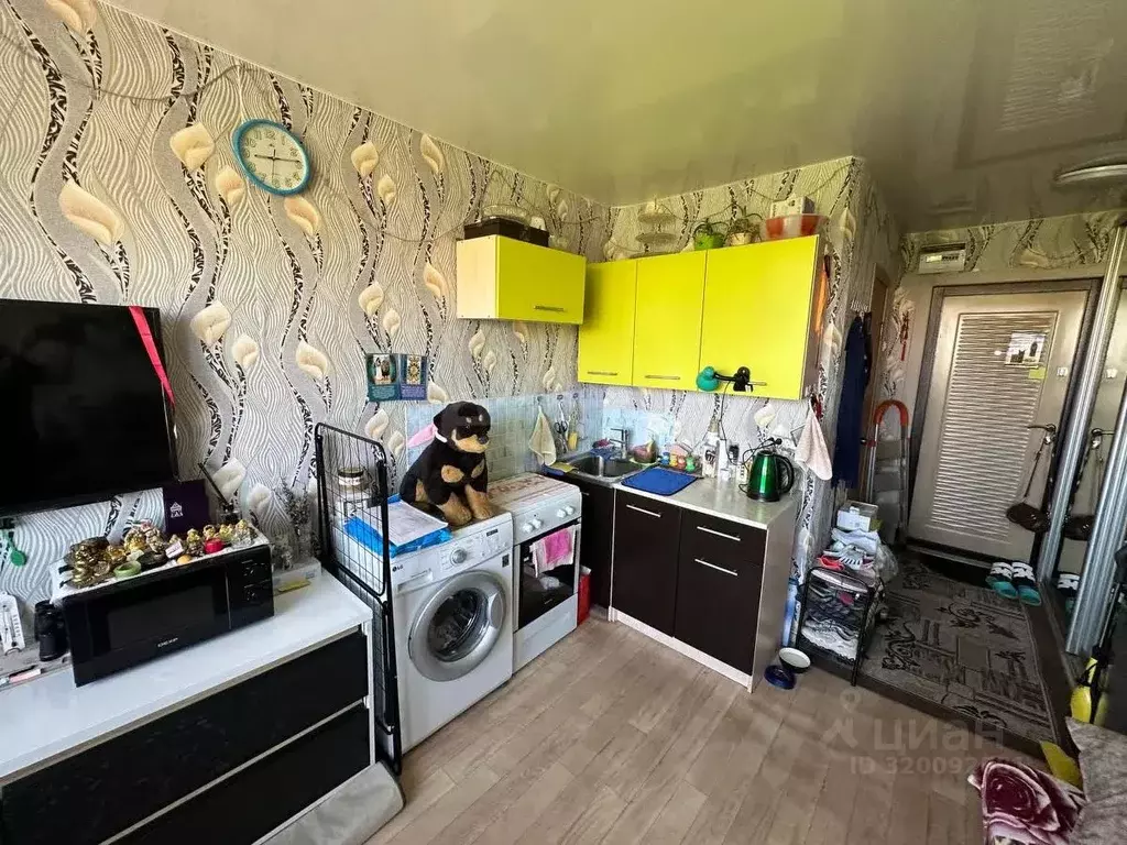 Студия Приморский край, Артем ул. Кирова, 150 (16.7 м) - Фото 0