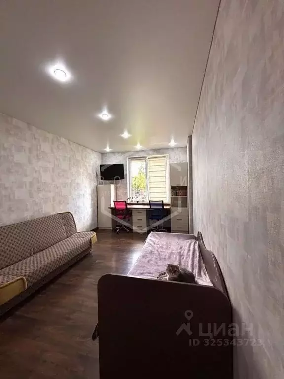 2-к кв. Калининградская область, Гурьевский муниципальный округ, пос. ... - Фото 2