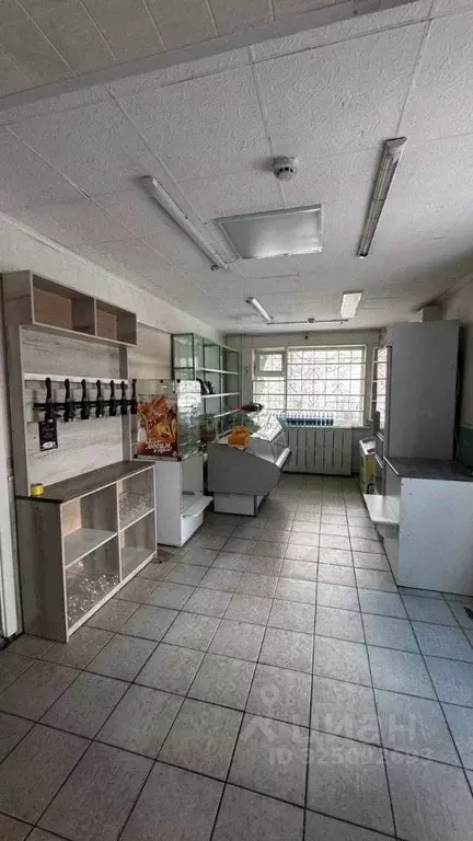 Помещение свободного назначения в Хакасия, Абакан Трудовая ул., 45 (61 ... - Фото 2