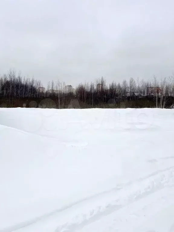 Участок 5 сот. (ИЖС) - Фото 1