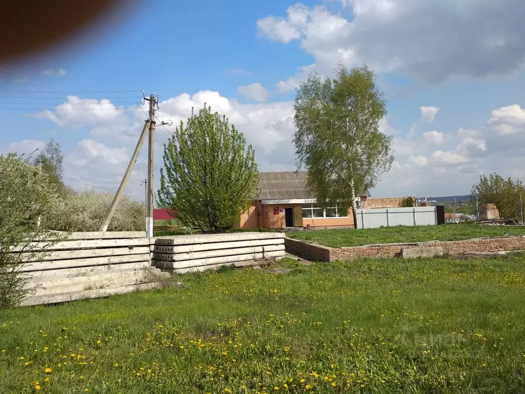 Участок в Белгородская область, Красногвардейский муниципальный округ, ... - Фото 2