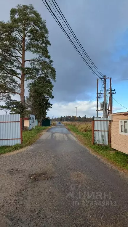 Дом в Ленинградская область, Гатчинский муниципальный округ, Суйда ... - Фото 2