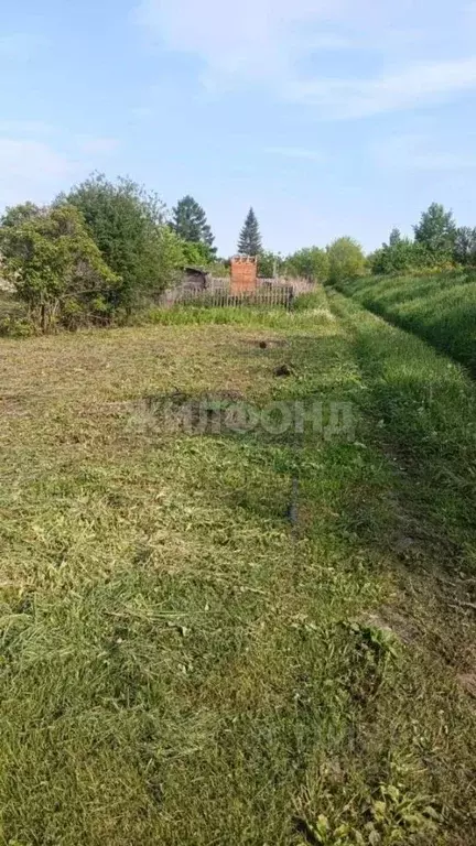 Участок в Новосибирская область, Новосибирский район, Станционный ... - Фото 1
