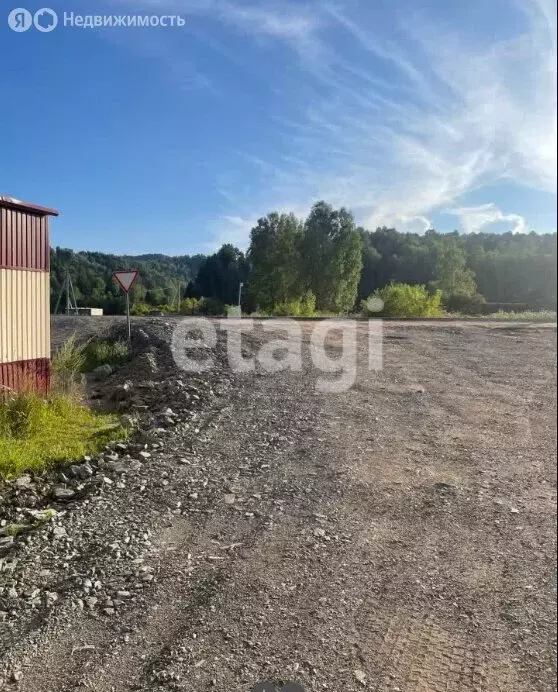 Участок в Майминский район, посёлок Филиал, улица А.Н. Муратова (10 м) - Фото 2