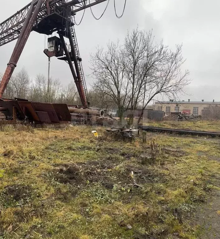 Помещение свободного назначения в Тульская область, Щекинский район, ... - Фото 1