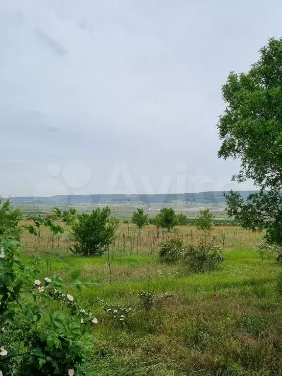 Участок 2,6 га (СНТ, ДНП) - Фото 0