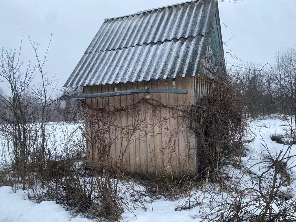 Дом в Брянская область, Брянский район, Снежское с/пос, с. Толмачево, ... - Фото 1