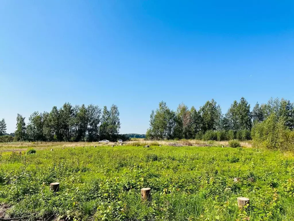 Участок в Московская область, Лосино-Петровский городской округ, д. ... - Фото 1