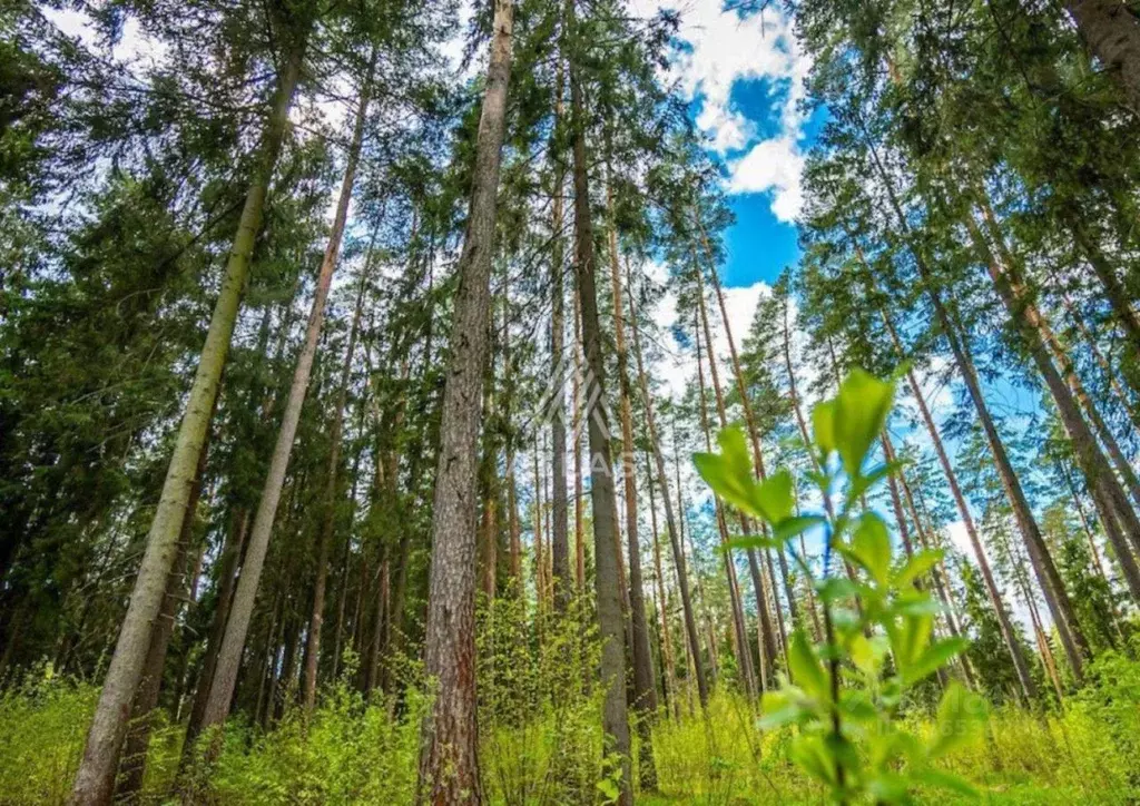 Участок в Московская область, Одинцовский городской округ, Тайм кп  ... - Фото 0