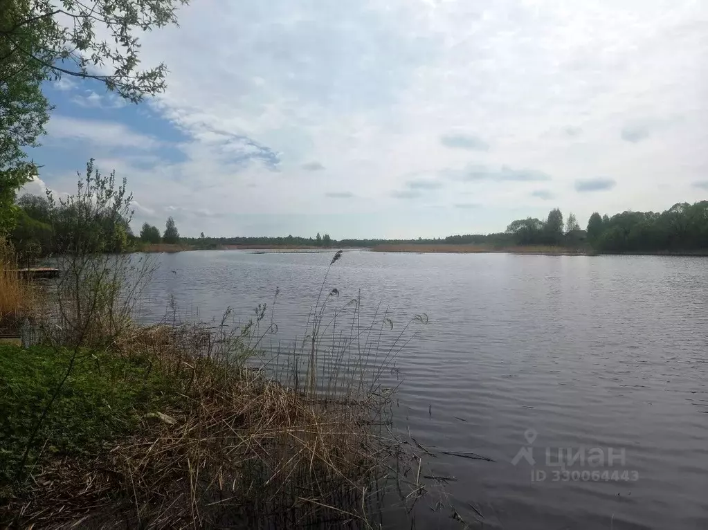 Участок в Тверская область, Калязинский муниципальный округ, д. ... - Фото 2