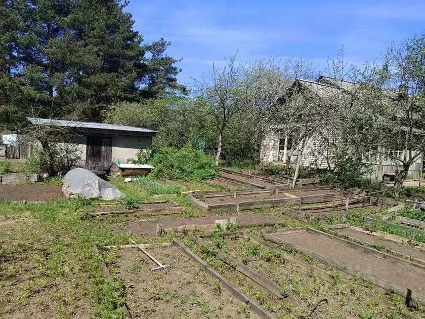 Дом в Новгородская область, Пестово ул. Грибоедова, 1 (51 м) - Фото 2