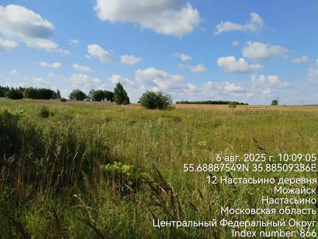 Участок в Московская область, Можайский муниципальный округ, д. ... - Фото 1