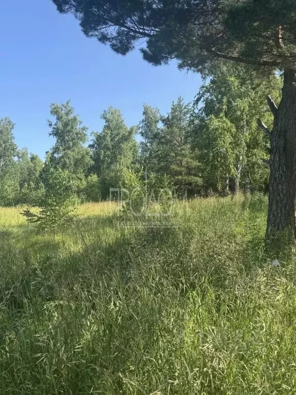Участок в Алтайский край, Первомайский район, с. Санниково  (1.06 га.) - Фото 2