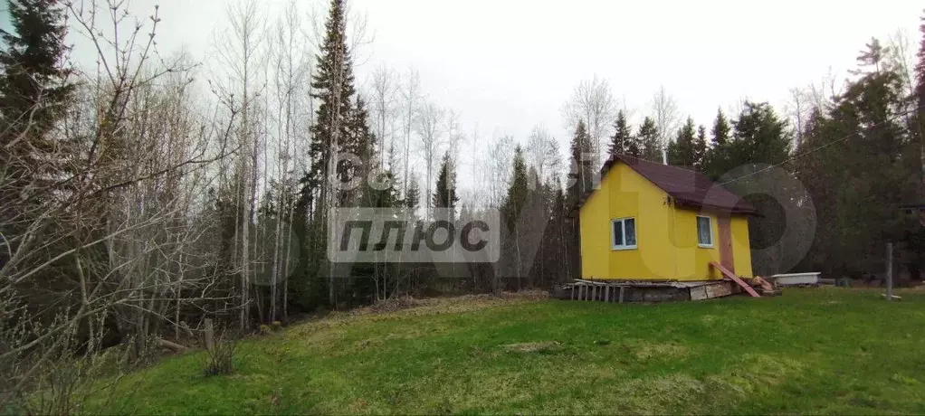 Участок 10 сот. (СНТ, ДНП) - Фото 1