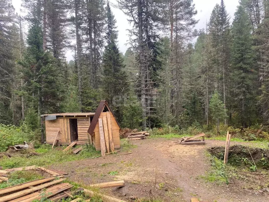 Участок в Алтай, Турочакский район, с. Артыбаш ул. Серебряная (13.0 ... - Фото 0