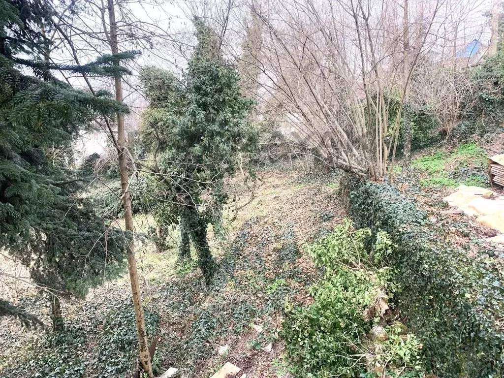 Участок в Адыгея, Майкоп Дружба ДНТ, ул. Грушевая (9.17 сот.) - Фото 2