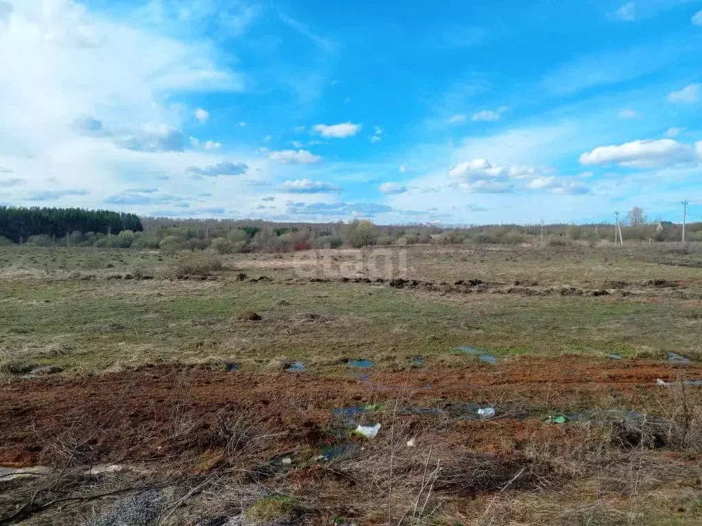 Участок в Нижегородская область, Богородский муниципальный округ, д. ... - Фото 0