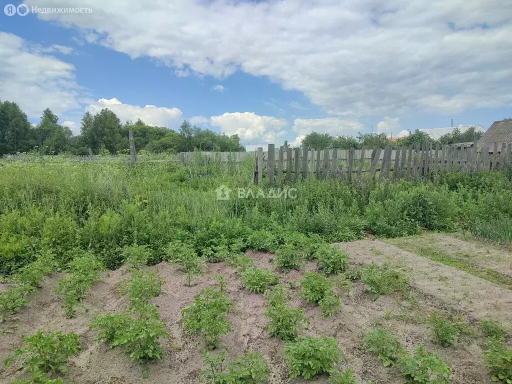 Участок в село Пазелки, Центральная улица, 16 (50 м) - Фото 1