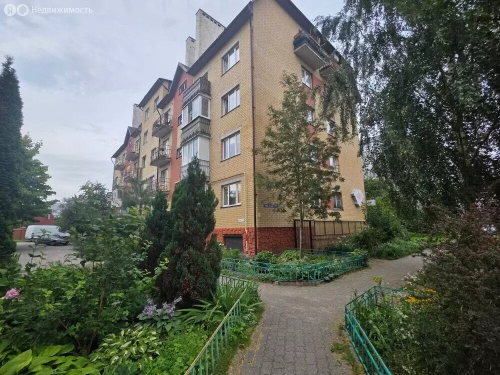 Помещение свободного назначения (55 м) - Фото 2