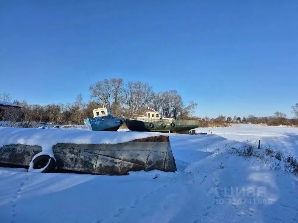 Участок в Псковская область, Печорский муниципальный округ, д. Лисье  ... - Фото 2