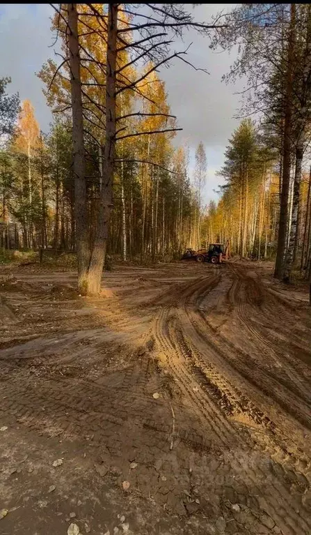 Участок в Ленинградская область, Всеволожское городское поселение, ... - Фото 2