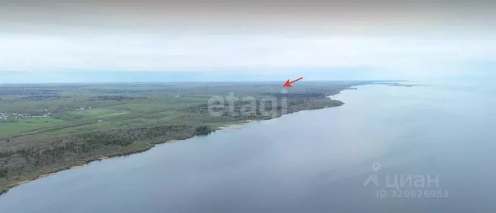 Участок в Вологодская область, Череповецкий район, Мяксинское ... - Фото 1