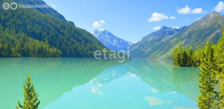 Участок в Усть-Коксинский район, посёлок Кучерла (20 м) - Фото 0