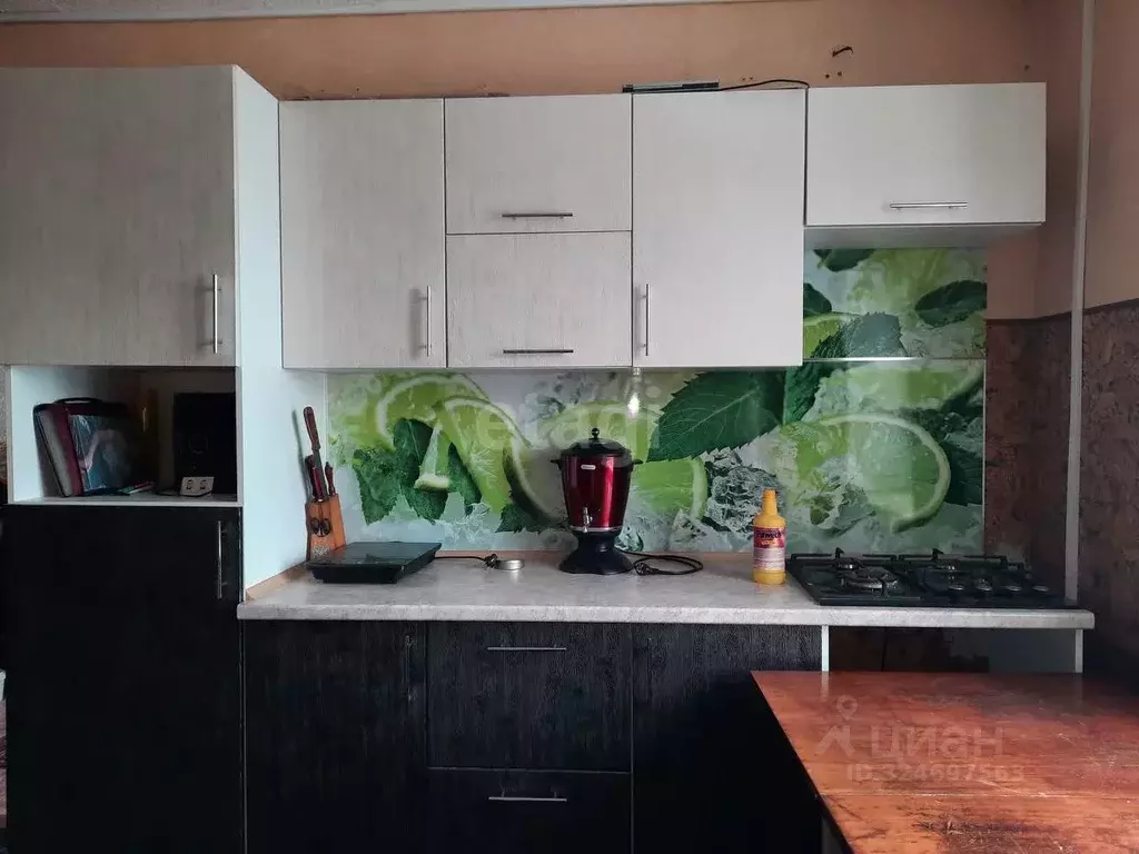 2-к кв. Алтайский край, Солтонский район, с. Карабинка Советская ул., ... - Фото 1