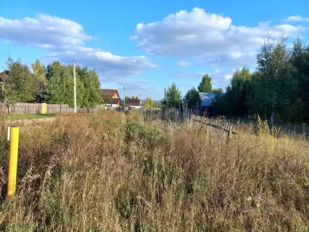 Участок в Новосибирская область, Ордынский район, с. Красный Яр ул. ... - Фото 2