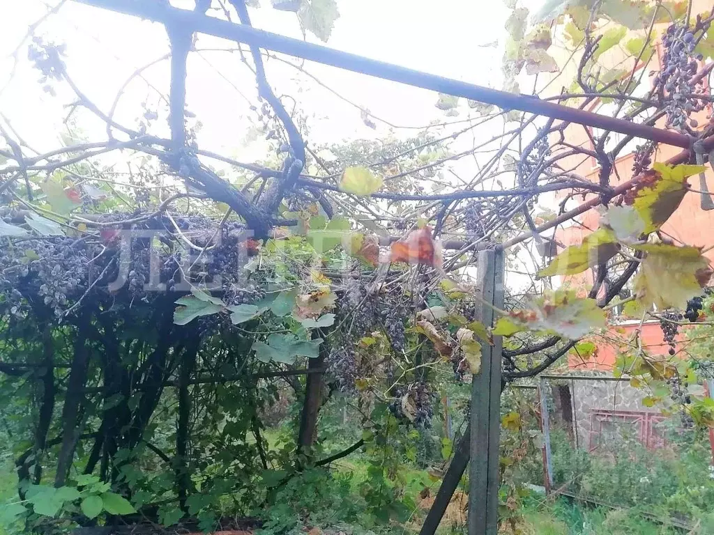 Участок в Ростовская область, Ростов-на-Дону 4-я Кольцевая ул. (3.5 ... - Фото 2