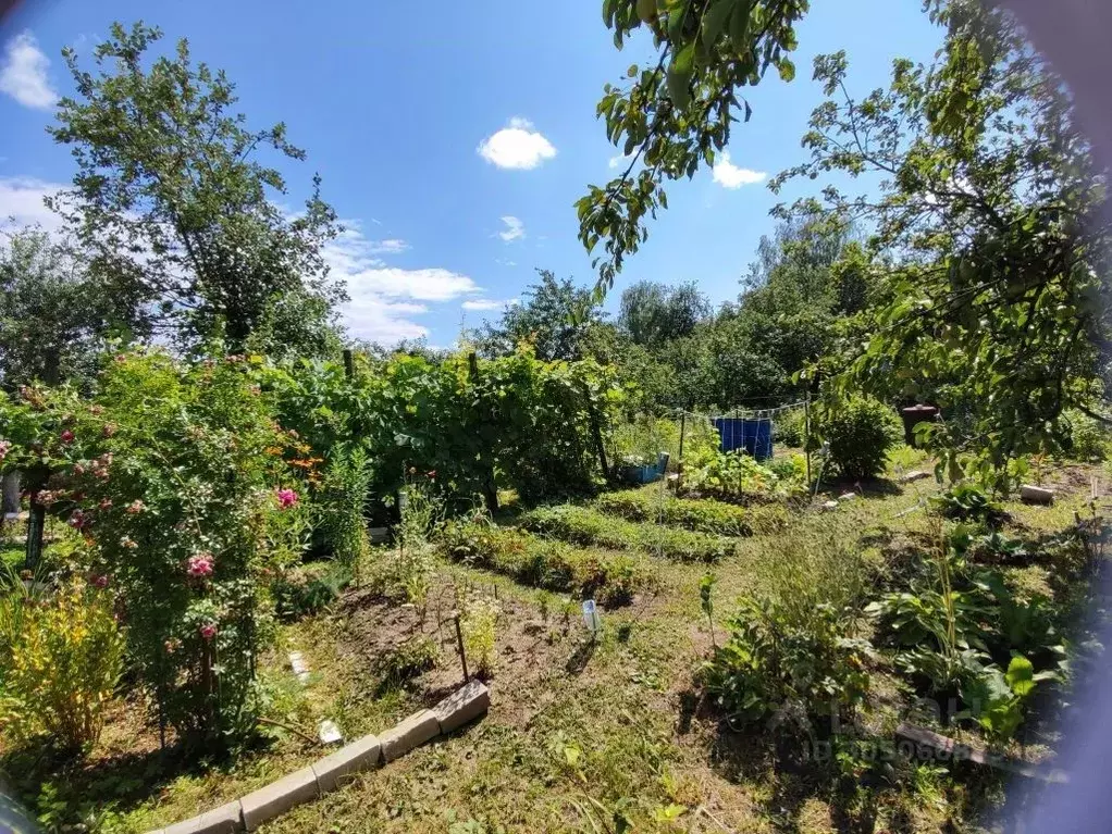 Участок в Нижегородская область, Нижний Новгород Дубрава СНТ, 102 (4.0 ... - Фото 2