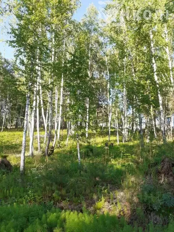 Купить Участок В Октябрьском Районе
