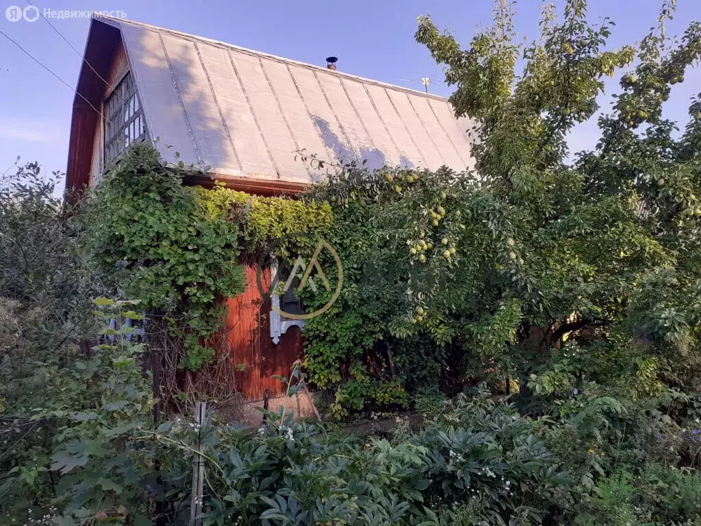 Дом в Жуковский сельсовет (25 м) - Фото 0