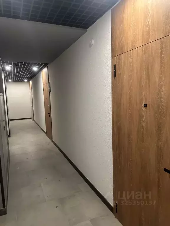 Студия Краснодарский край, Краснодар ул. Ивана Беличенко, 86к2 (25.0 ... - Фото 1