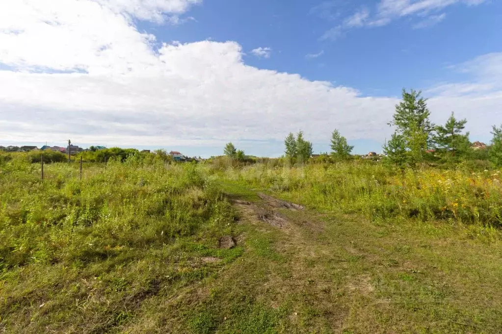 Участок в Тюменская область, Тюменский муниципальный округ, ... - Фото 1